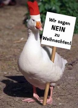 wir haben sie auch